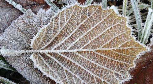 Meteorolojiden Eskişehir için kritik uyarı: Gece ve sabah saatlerinde dikkat!
