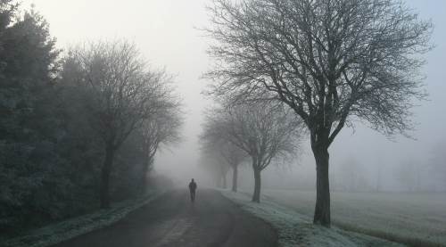 Meteorolojiden uyarı: Eskişehir’de sabah sisine dikkat!