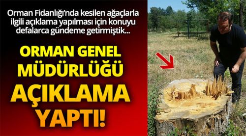 Mevzuata uygun olarak kesildi