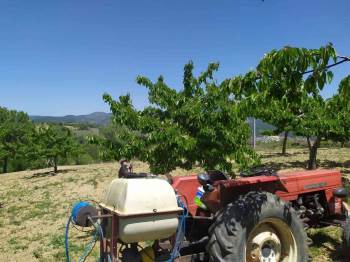 Meyve Üreticilerine İlaçlama Uyarısı
