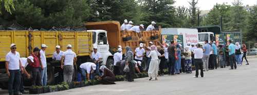 MEZARLIKLARDA 60 BİN ÇİÇEK DAĞITILDI