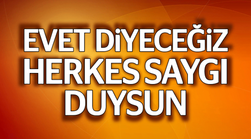 MHP olarak 'Evet' diyeceğiz
