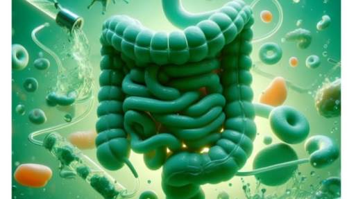 Mikrobiyota Nedir, Sağlığımızı Nasıl Etkiliyor?