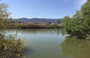 Millet Parkı Çalışmaları Devam Ediyor
