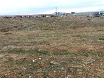 Milli Ağaçlandırma Günü İçin Hazırlıklar Tamamlandı
