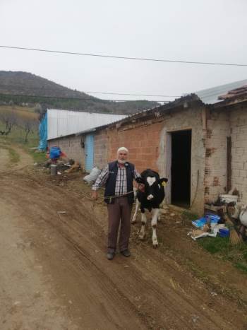 Milli Dayanışma Kampanyası’Na Düvesini Bağışladı
