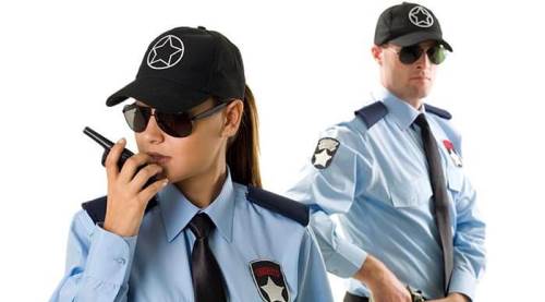 Milli Saraylar İdaresi Başkanlığı'ndan Koruma ve Güvenlik Görevlisi