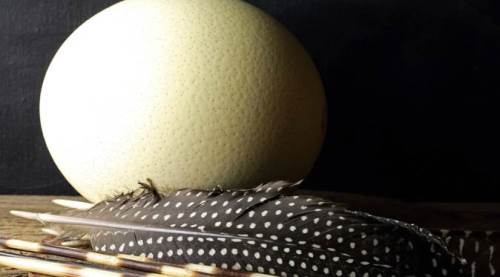 Mimar Sinan ve İbn-i Sina'nın gözdesi: Deve kuşu yumurtası nedir, faydaları nelerdir?