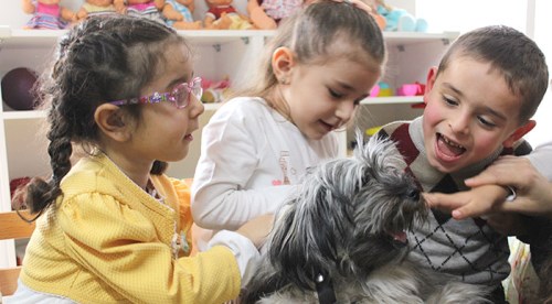 Minik eller minik patilerle buluştu