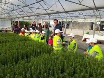 Minik Öğrenciler Bitki Ve Çiçek Üretim Serasını Ziyaret Etti
