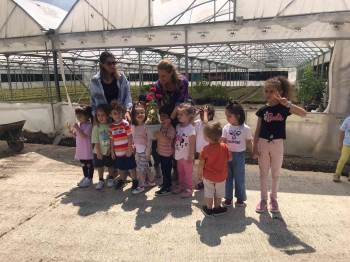 Minik Öğrenciler Sera Alanını Gezerek, Çiçekleri Tanıdı
