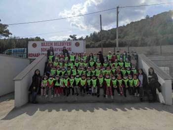 Minik Öğrenciler Sokak Hayvanlarına Mama Ve Su Verdi
