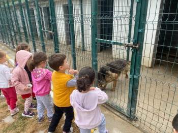 Miniklerden Hayvan Barınağına Ziyaret
