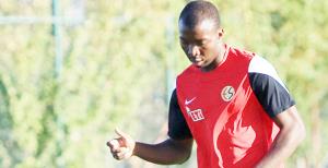 Mongongu geri döndü