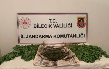 Motosikletinde Yarım Kilodan Fazla Esrarla Yakalandı
