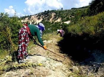 Müdür Keskin: “Ağaçlandırmanın Başarısı Dikimden Sonraki Bakımlarla Mümkündür”
