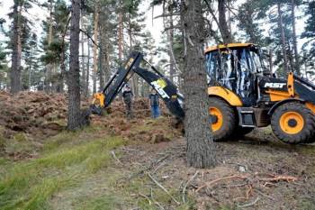 Müdür Keskin: “Yaşlı Ormanları Gençleştirmek İçin Çalışıyoruz”
