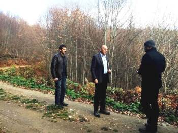 Müdür Keskin, Kayın Ormanlarında İncelemelerde Bulundu
