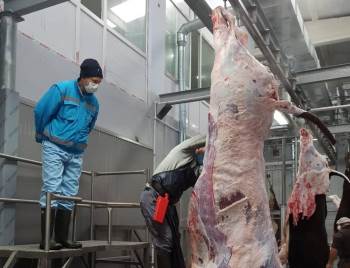 Müdür Özçalık: “Amacımız Vatandaşlarımızın Sağlıklı Ve Güvenilir Et Tüketmeleri”
