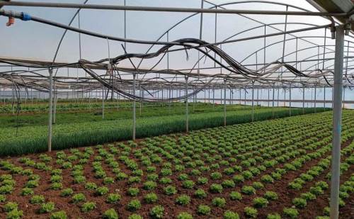 Müjdeli haber geldi: Eskişehir’deki yatırımcılara hibe desteği!