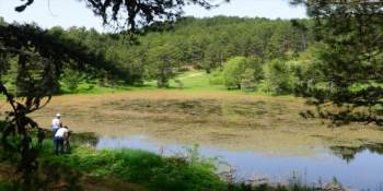 Murat Dağı’Nda ’Çed Olumlu Raporunun İptali Danıştay Tarafından Onandı
