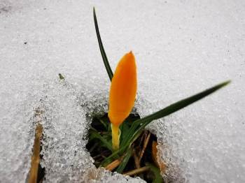 Murat Dağı’Nda İki Mevsim Bir Arada
