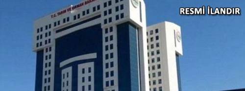 Musaözü Tabiat Parkı Su Deposu, İsale Hattı ve Yol Yapım İşi