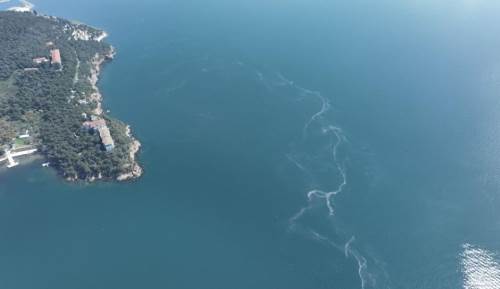 Müsilaj Heybeliada'da su yüzeyine vurdu