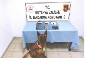 Narkotik Köpeği Mola, Zehir Tacirlerine Geçit Vermedi
