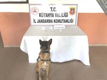 Narkotik Köpeği Mola Göz Açtırmadı
