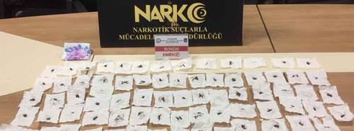 Narkotim satışa hazır bonzai ele geçirdi