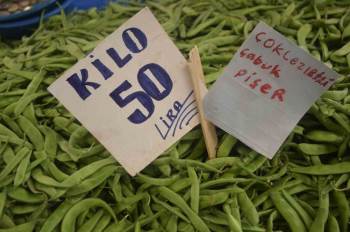 Nazende Fasulye Tezgahlarda Yerini Aldı
