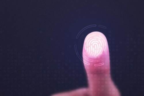 Neden insanların parmak izleri birbirinden farklıdır? İşte sebebi... 