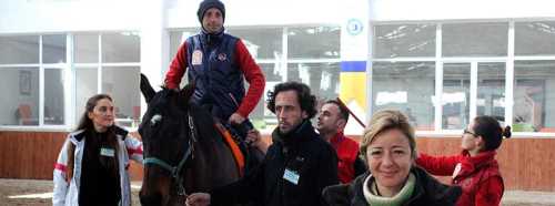 NEDEN KAPLUMBAĞA DEĞİL DE AT KULLANILIYOR