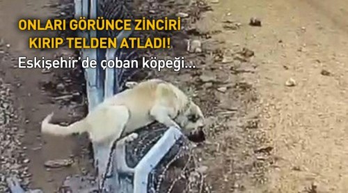 O an kameralar kayıttaydı