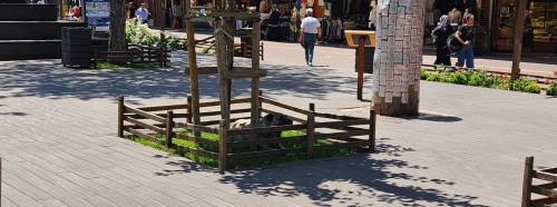 Odunpazarı Belediyesi'nden çevreci hareket