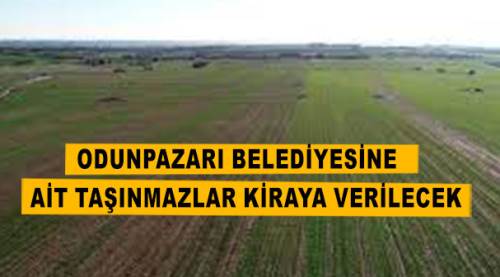 Odunpazarı belediyesine ait taşınmazlar kiraya verilecek