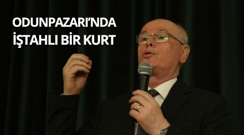 Odunpazarı'nda iştahlı bir Kurt