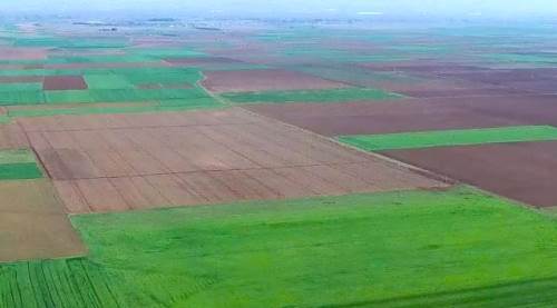 Odunpazarı'nda satılık tarla 