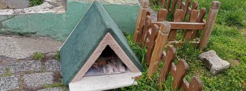 Odunpazarı’nda vatandaşlardan sokak hayvanlarına destek