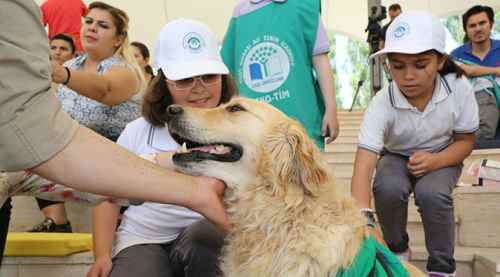 Odunpazarı’nın çevreci köpeği Abdiş