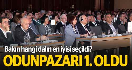Odunpazarı Türkiye'nin en iyisi seçildi
