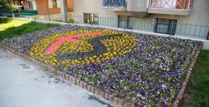 Odunpazarı'ndan Es Es'e jest