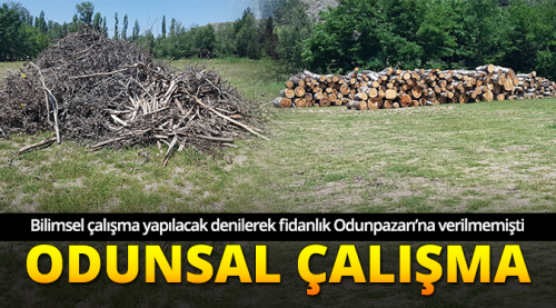 Odunsal çalışma