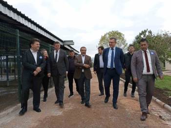 Oedaş, Can Dostlar İçin Afyonkarahisar’Da Tedavi Odası Açtı
