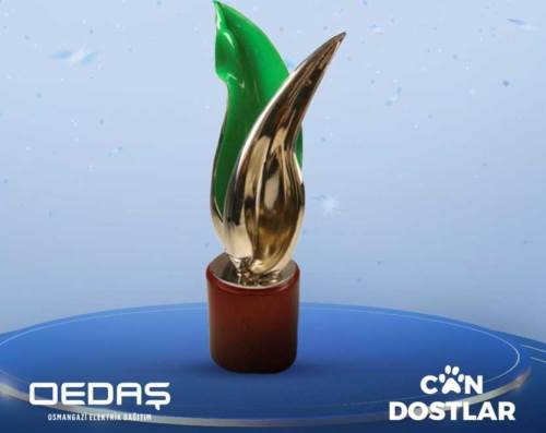 OEDAŞ’ın "Can Dostlar" projesi ödülle taçlandı!