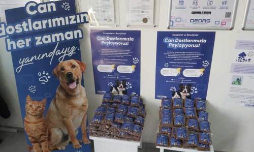OEDAŞ'tan sokak hayvanları için beslenme etkinliği