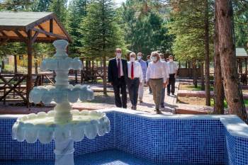 Öğrenciler Artık Çam Ağaçları Altında Güzel Vakit Geçirebilecek
