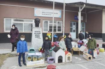 Öğrenciler Sokak Kedileri İçin 60 Yuva Yaptı
