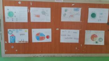 Öğrencilerin Gözüyle Covid-19
